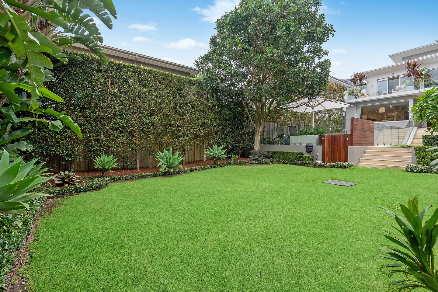 Remuera Street, Willoughby,